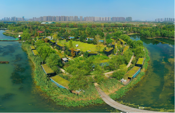 湿地生态修复治理技术