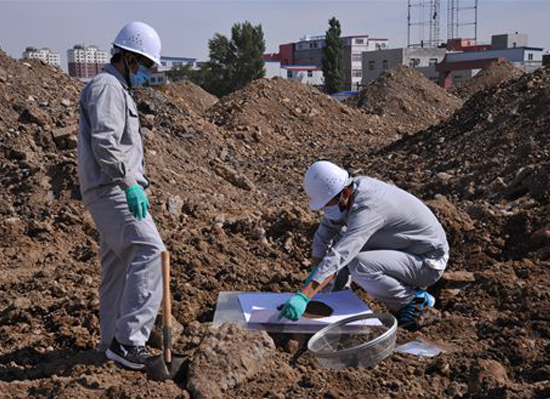 茶陵县钨矿区废渣处置及生态恢复工程项目